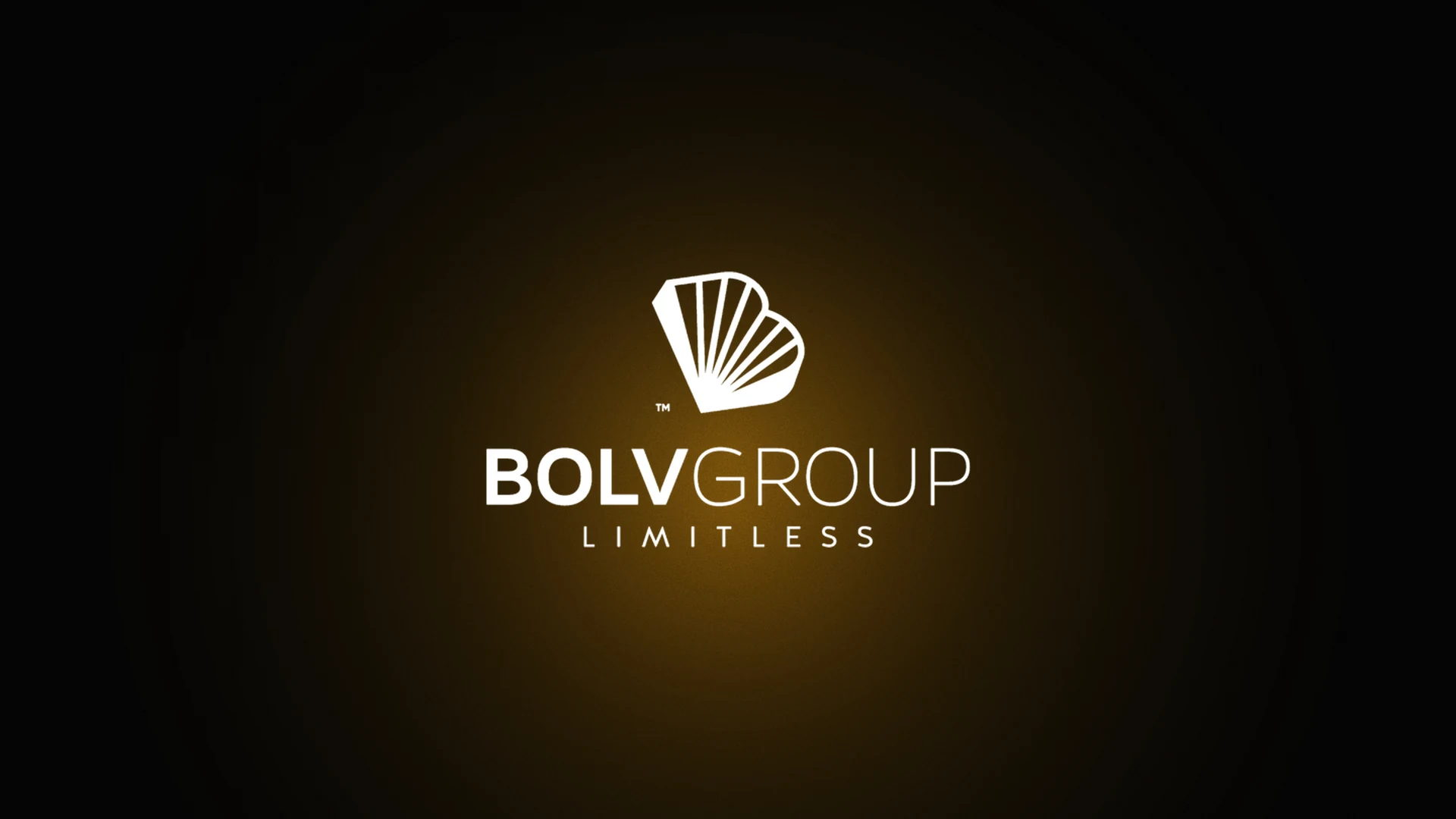 BOLV Group